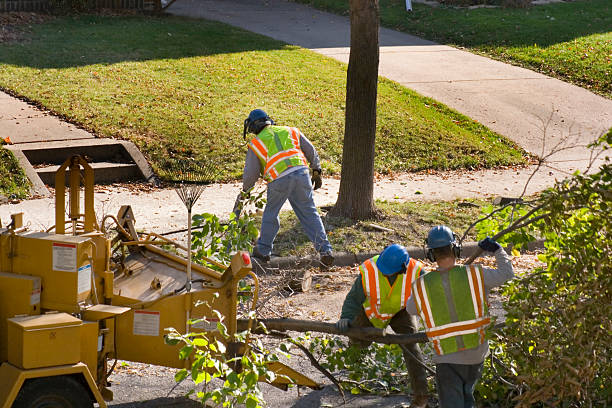 Best Weed Control  in Kearny, NJ