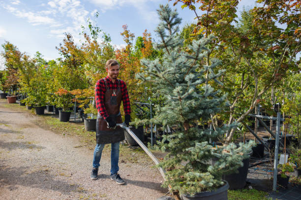 Best Tree Risk Assessment  in Kearny, NJ